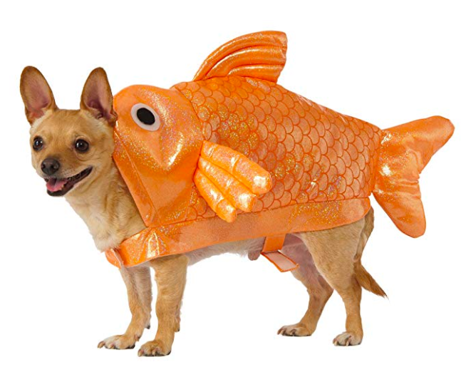 14 Pacific Northwest-Inspired Halloween Costumes for You and Your Pet